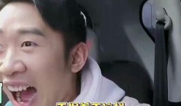 明星爆料大全视频,揭秘娱乐圈幕后真相